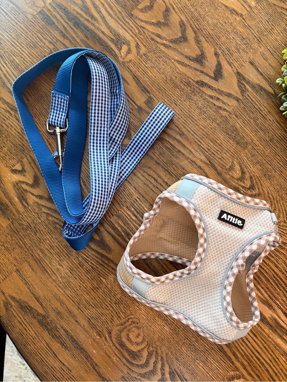 M dog harness and leash Harness 15”-17”